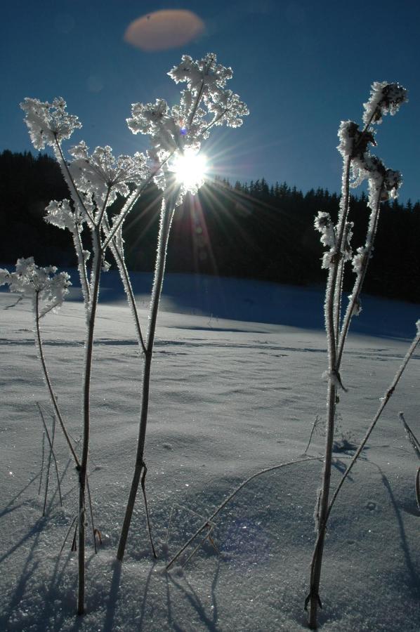 Gasthof Hirschenwirt Schoeder Bagian luar foto